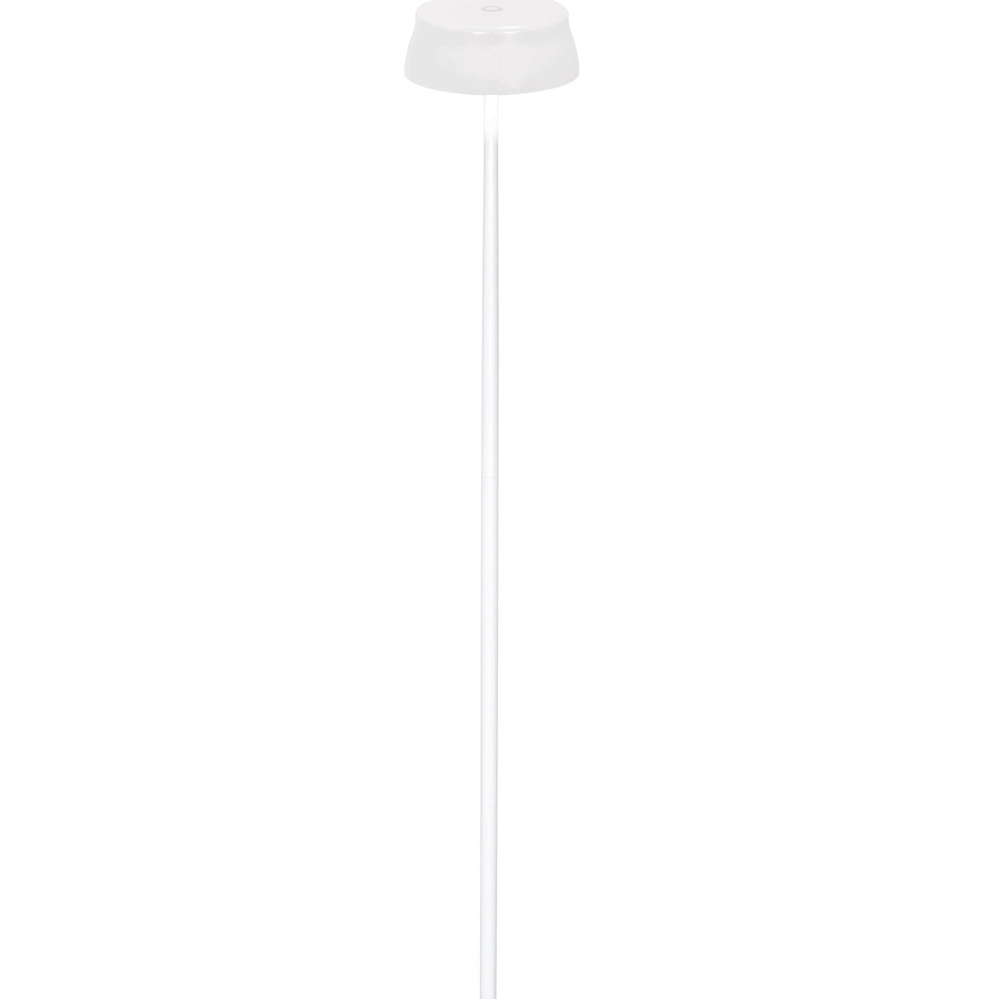 Sister Light Wi-Fi Outdoor Rechargeable LED Floor Lamp in Detail.