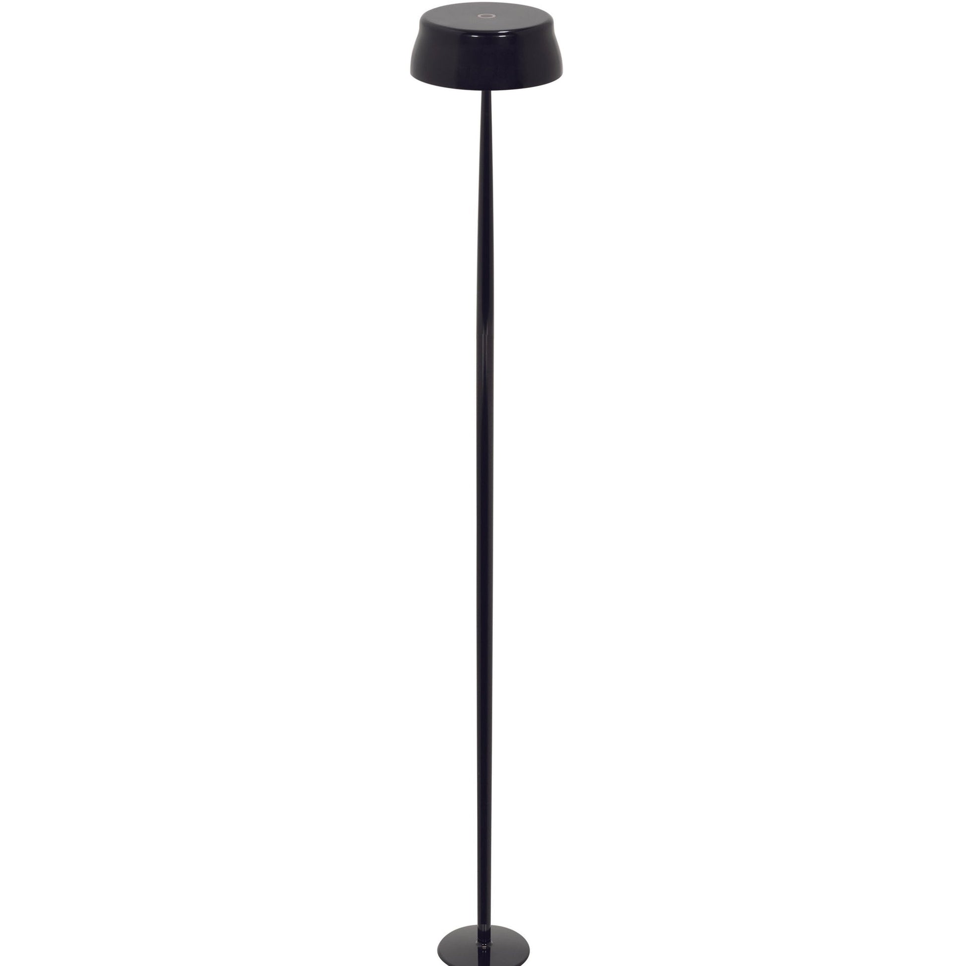 Sister Light Wi-Fi Outdoor Rechargeable LED Floor Lamp in Detail.