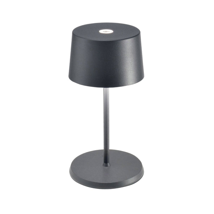 Olivia Mini LED Table Lamp in Dark Grey.