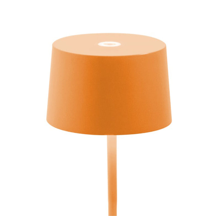 Olivia Mini LED Table Lamp in Detail.