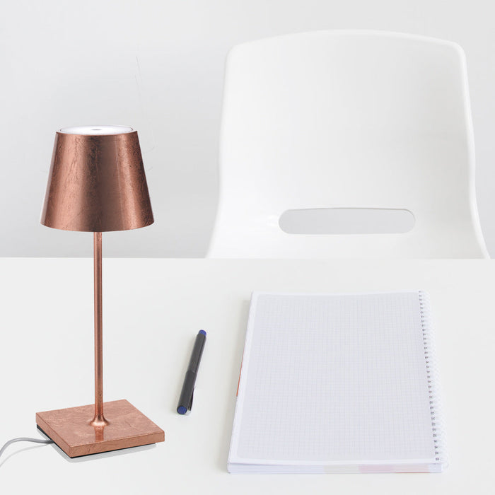 Poldina Pro Mini LED Table Lamp in Detail.