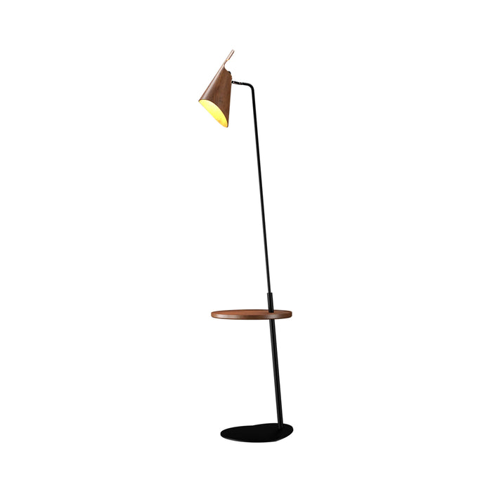 Balance Floor Lamp in Imbuia (With Disk).