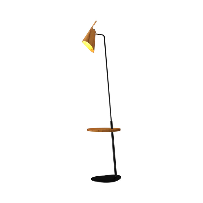 Balance Floor Lamp in Teak (With Disk).