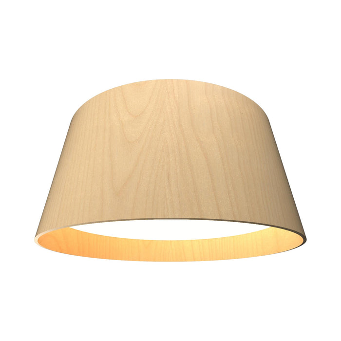 Conical LED Narrow Flush Mount Ceiling Light in Maple (Large).