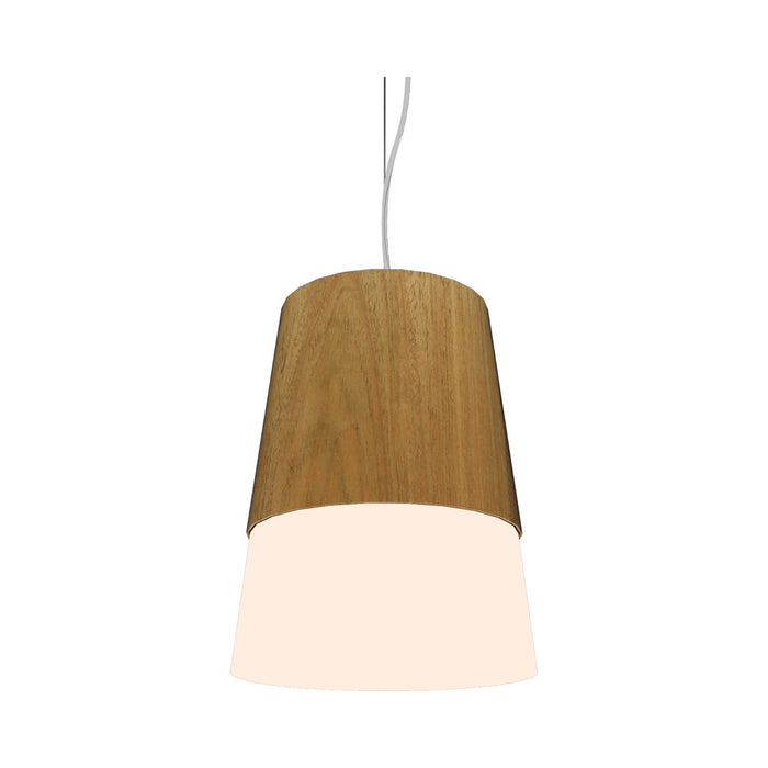 Conical Pendant Light in Louro Freijo (Large).