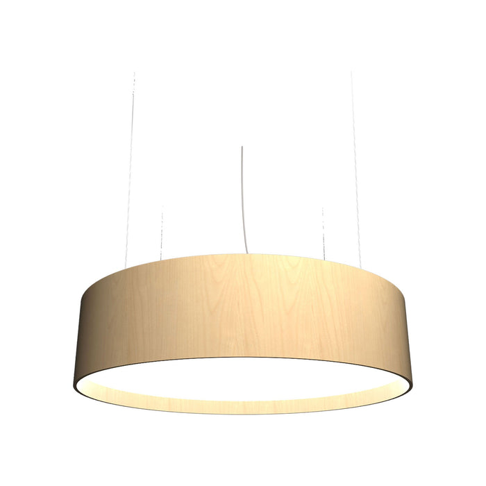 Cylindrical Large LED Pendant Light in Maple.