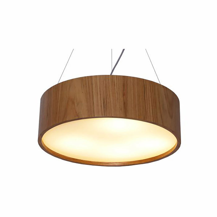 Cylindrical Large LED Pendant Light in Detail.