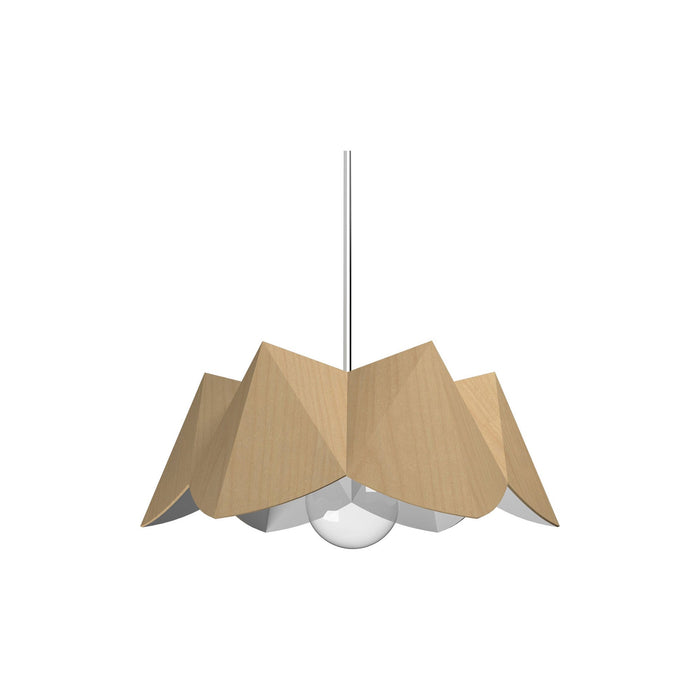 Physalis Pendant Light in Maple (Small).