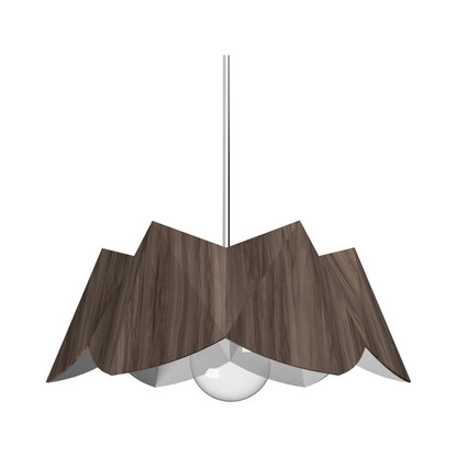 Physalis Pendant Light in American Walnut (Large).