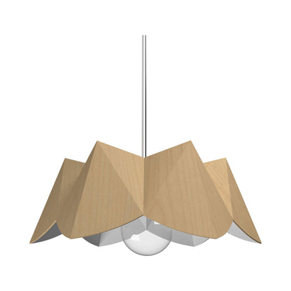 Physalis Pendant Light in Maple (Large).