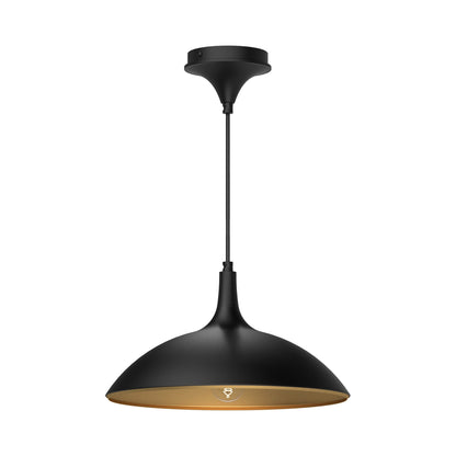 Abel Pendant Light in Matte Black.