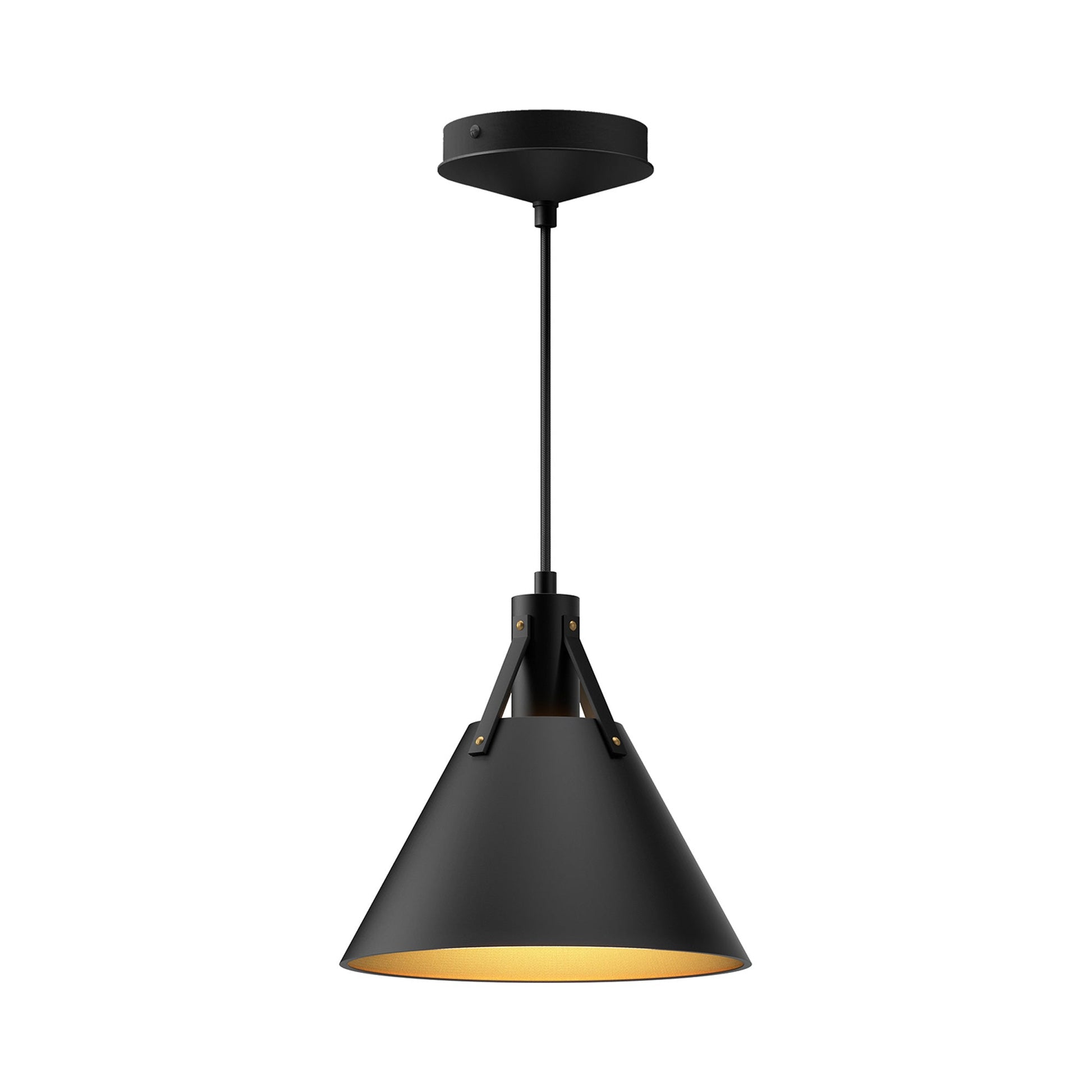 Archer Pendant light in Matte Black.