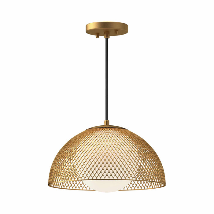 Haven Pendant Light in Gold.