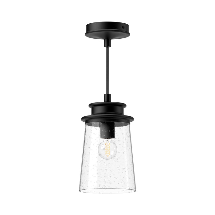 Quincy Exterior Pendant Light in Clear Bubble Glass.