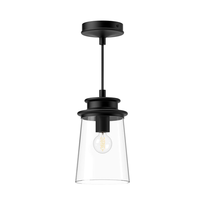 Quincy Exterior Pendant Light in Clear Glass.