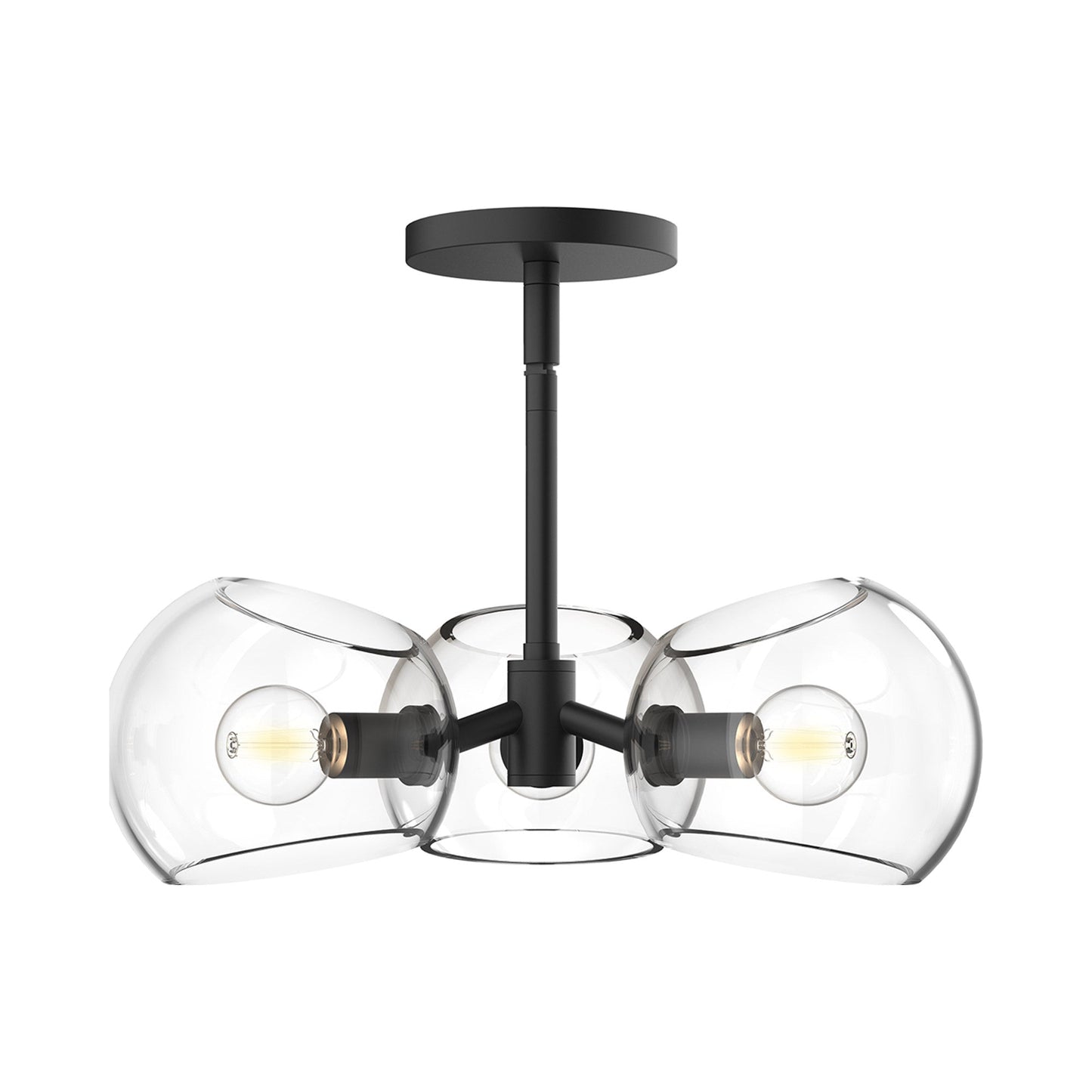 Willow Pendant Light in Matte Black/Clear Glass.