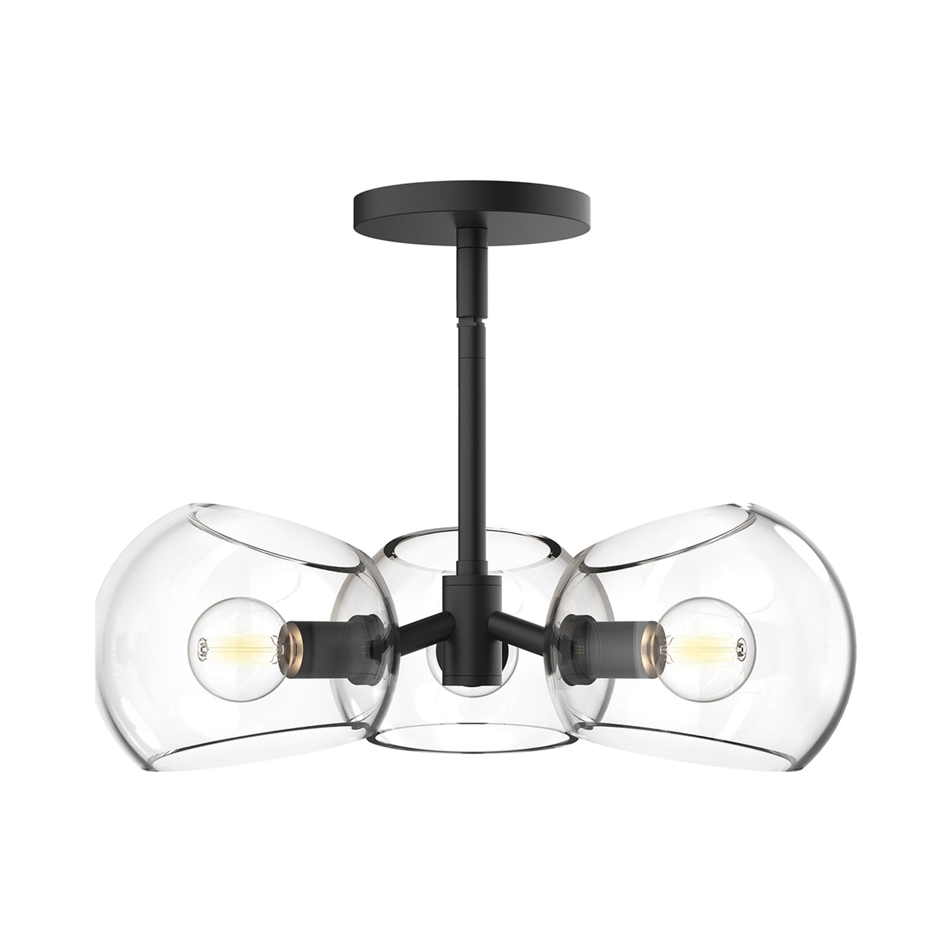 Willow Pendant Light in Matte Black/Clear Glass.