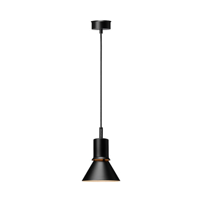 Type 80 Pendant Light in Matte Black.