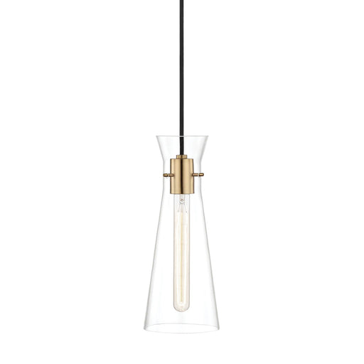 Anya Pendant Light in Clear.