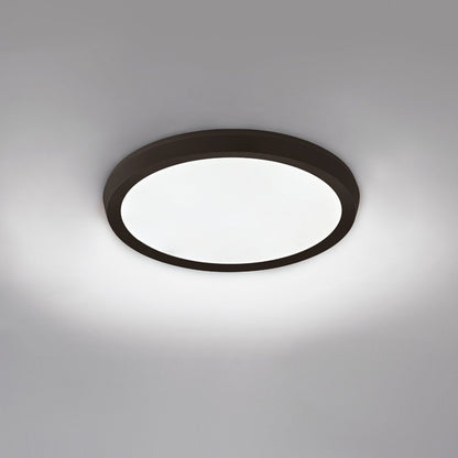 Argo LED Flush Mount Ceiling Light in Detail.