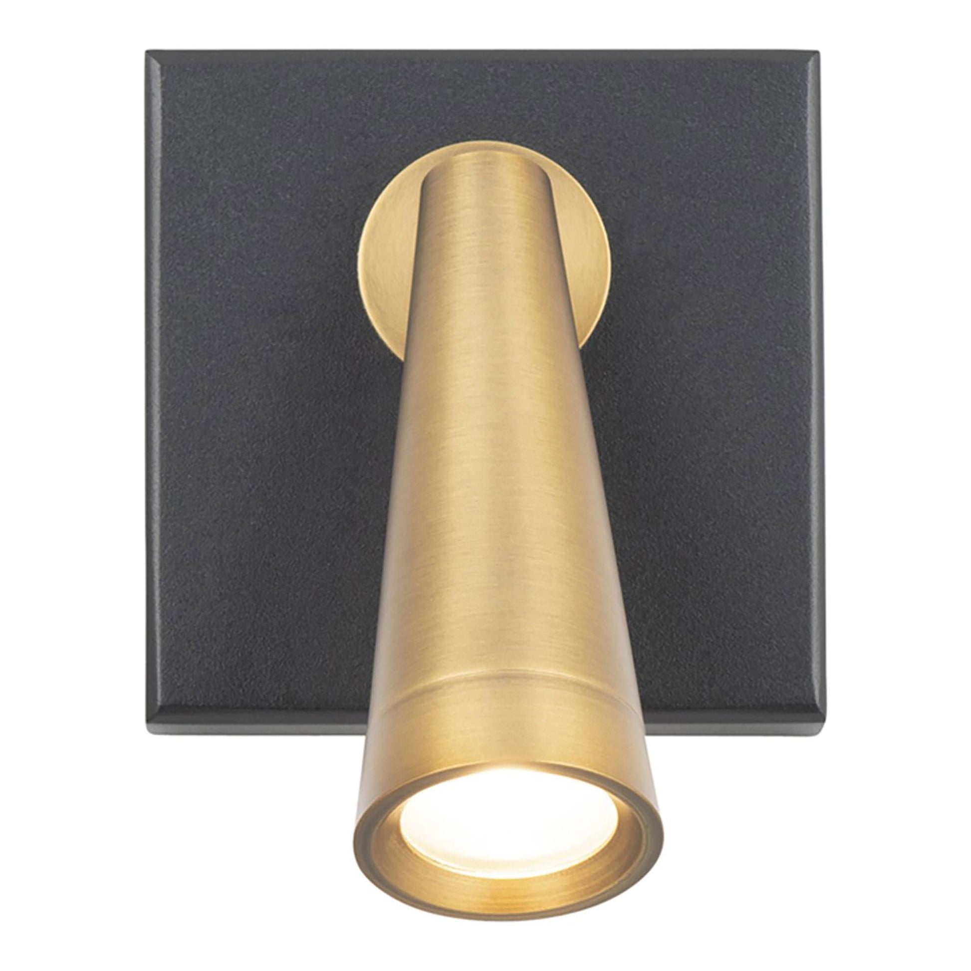 Arne LED Adjustable Wall Light in Detail.