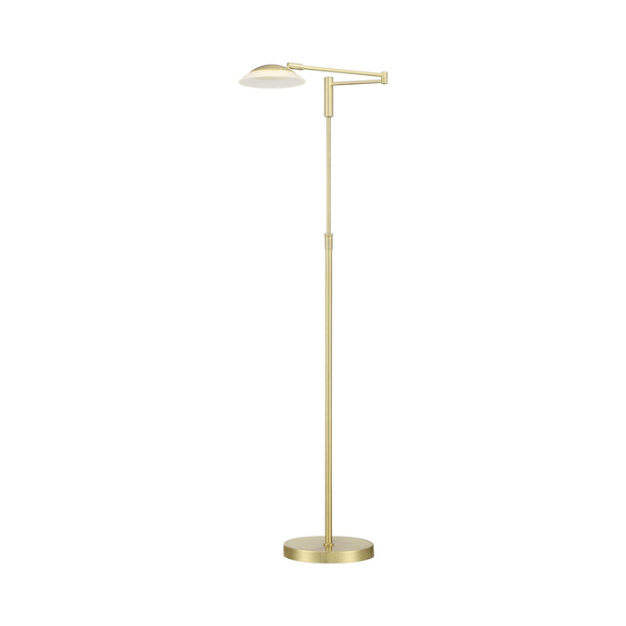 Meran Turbo LED Floor Lamp in Satin Brass.