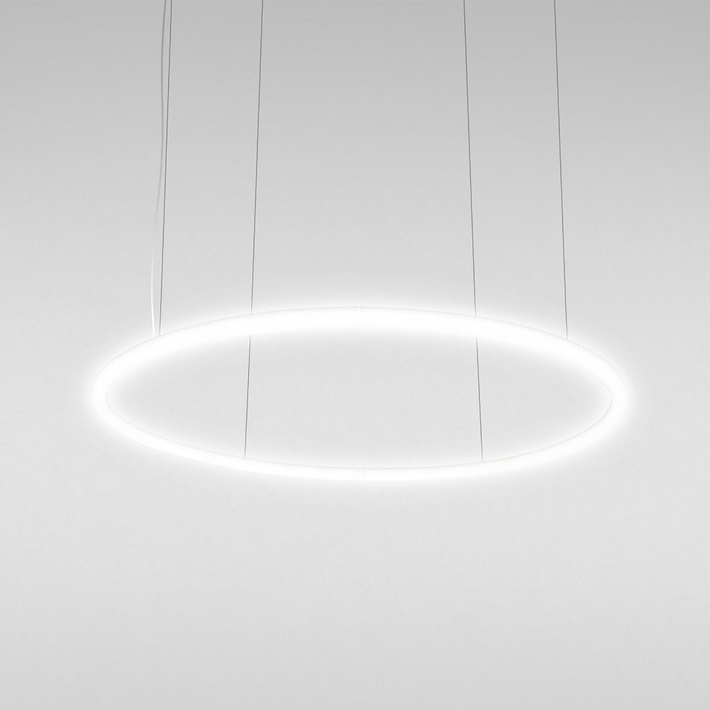 Alphabet of Light LED Circular Suspension Light (Large).