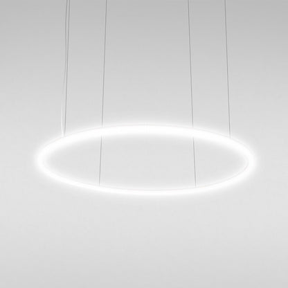 Alphabet of Light LED Circular Suspension Light (Large).