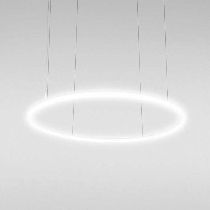 Alphabet of Light LED Circular Suspension Light (Large).