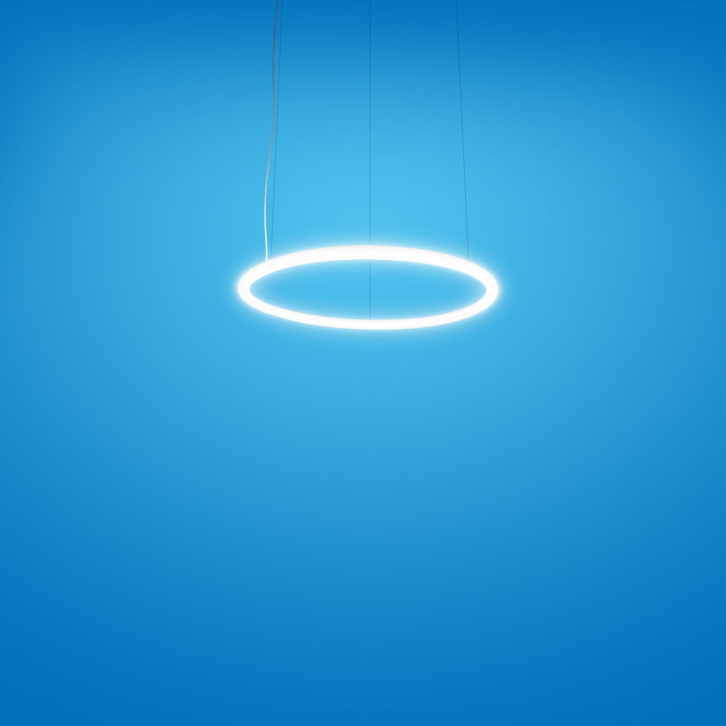 Alphabet of Light LED Circular Suspension Light in Detail.