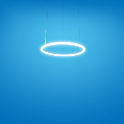 Alphabet of Light LED Circular Suspension Light in Detail.