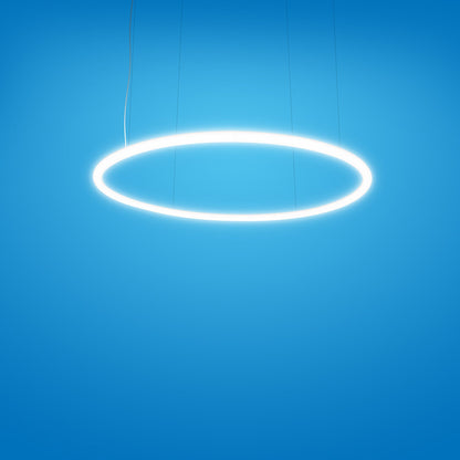 Alphabet of Light LED Circular Suspension Light in Detail.