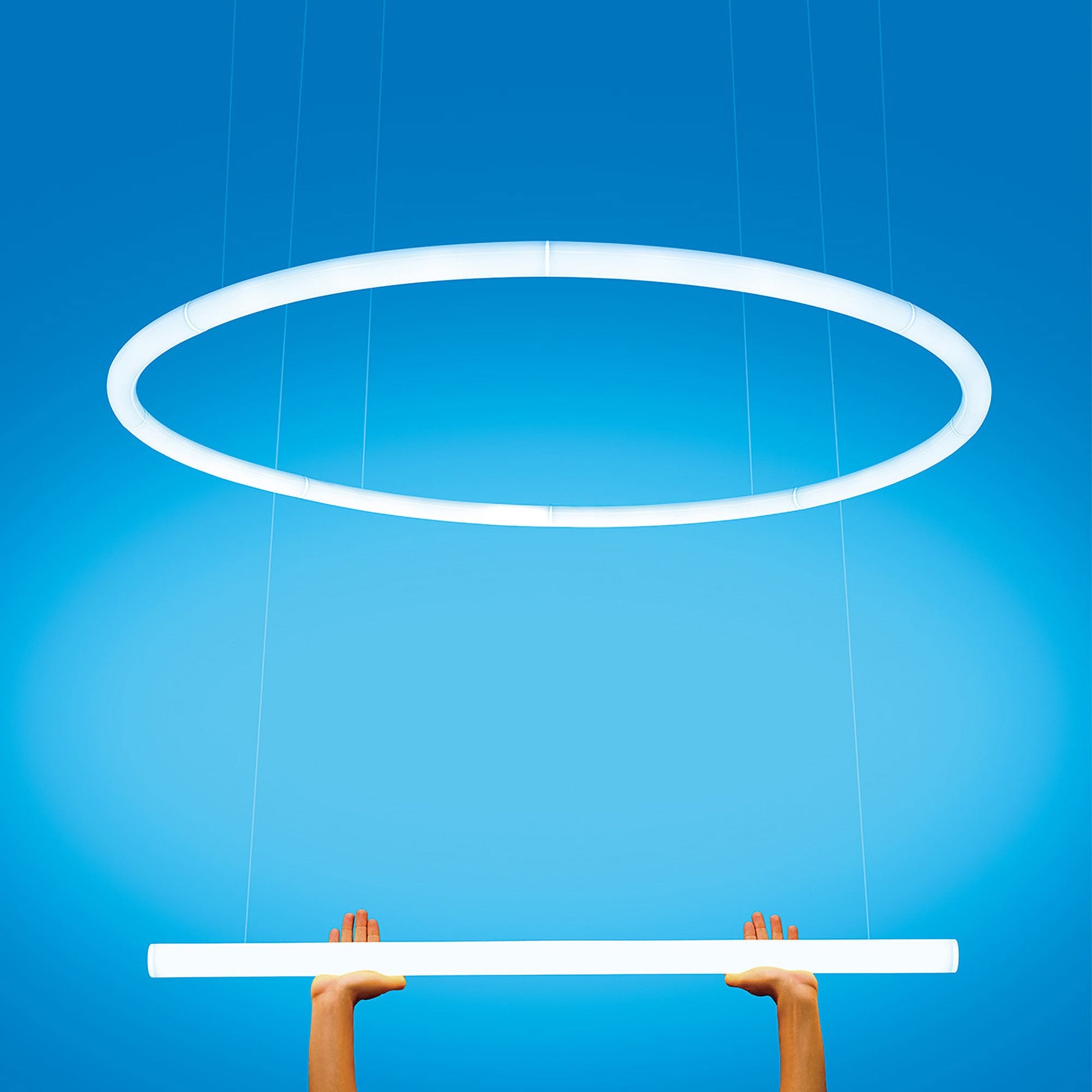 Alphabet of Light LED Circular Suspension Light in Detail.