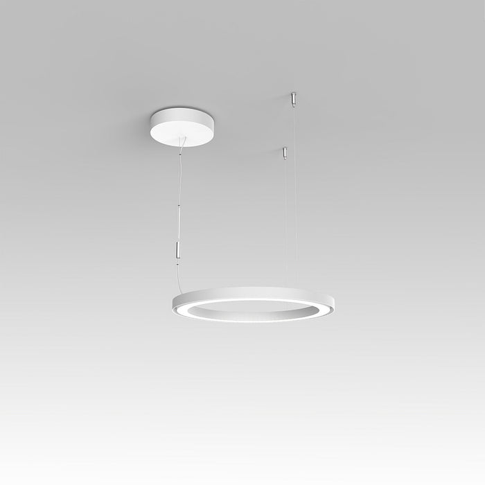 Ripple LED Pendant light (Small).