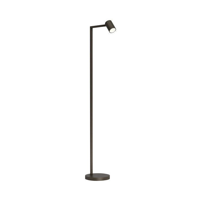Ascoli Floor Lamp.
