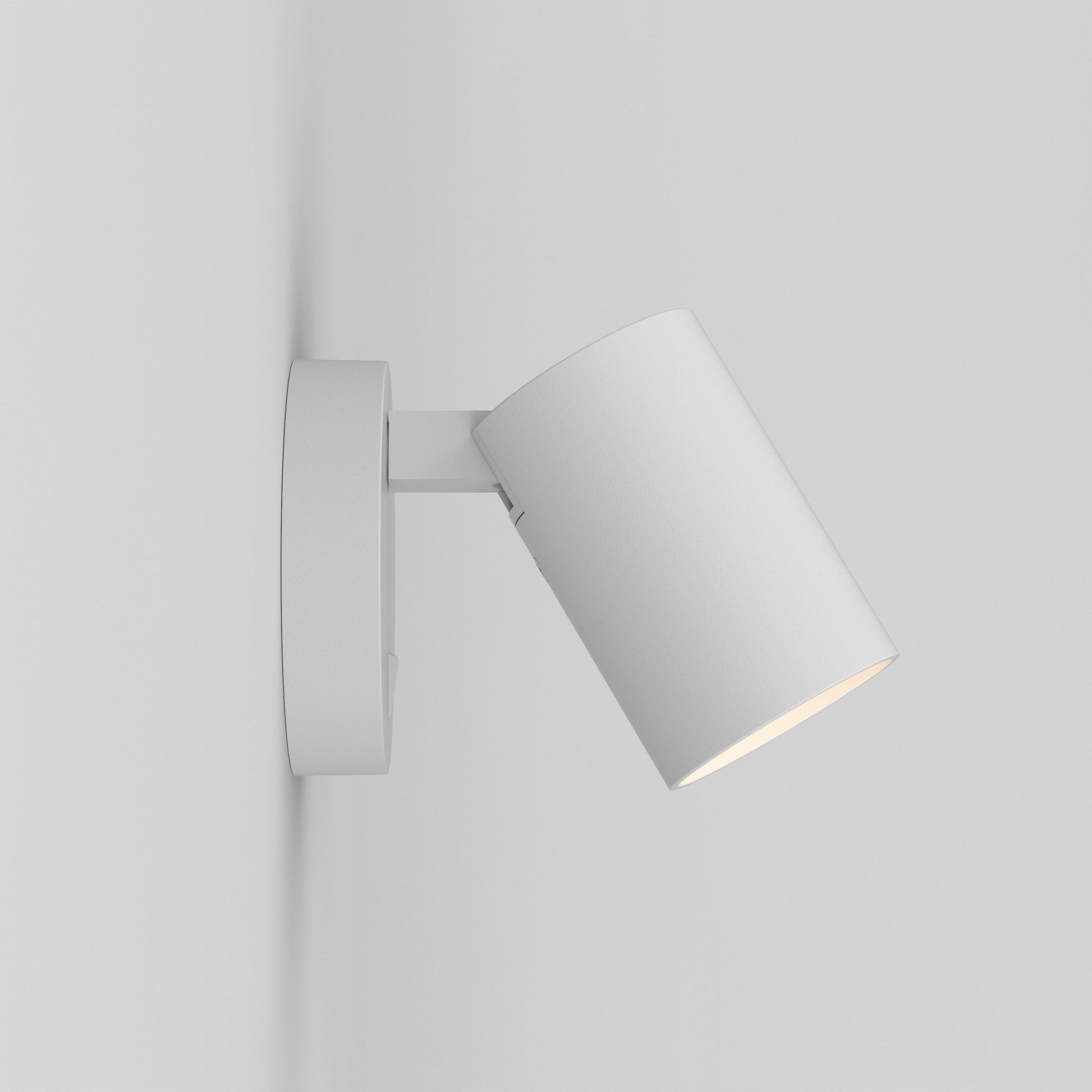 Ascoli Switched Wall Light in Detail.