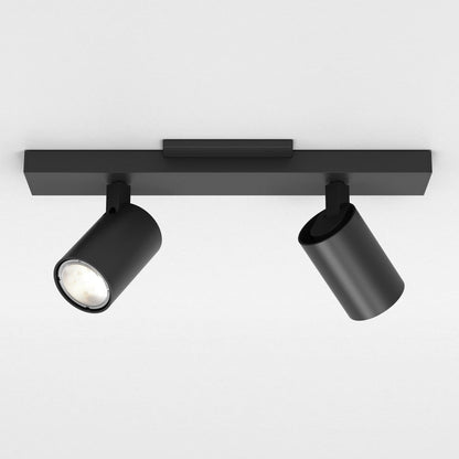 Ascoli Twin Semi Flush Ceiling Light in Detail.