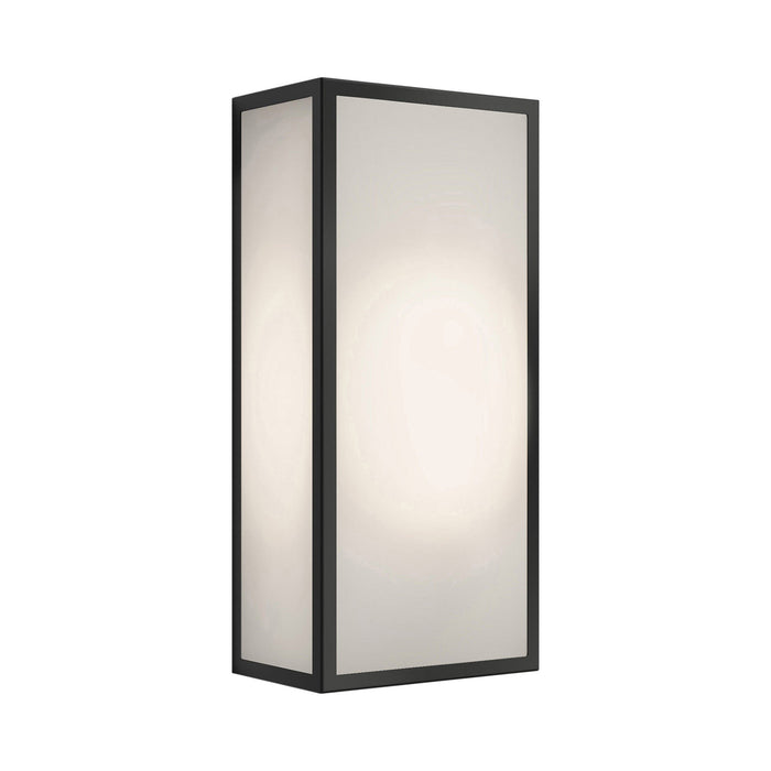 Messina Outdoor Wall Light in Textured Black/Frosted.