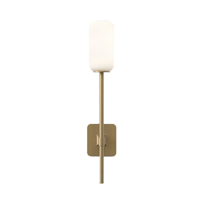 Tacoma Wall Light in Antique Brass/Reed Glass (Grande).
