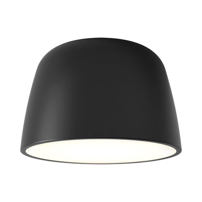 Taiko LED Flush Mount Ceiling Light in Matt Black (2-Light).