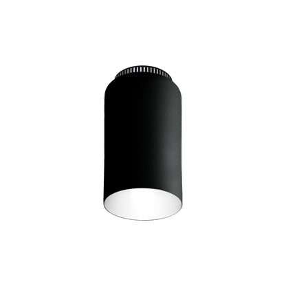Aspen C17B Semi Flush Mount Ceiling Light in Black.