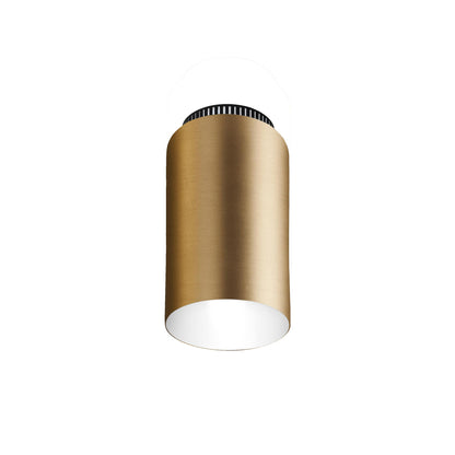 Aspen C17B Semi Flush Mount Ceiling Light in Brass.