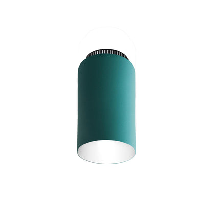 Aspen C17B Semi Flush Mount Ceiling Light in Clear Turquoise.