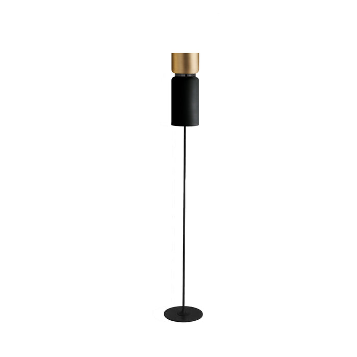 Aspen F17 Floor Lamp in Brass/Black.