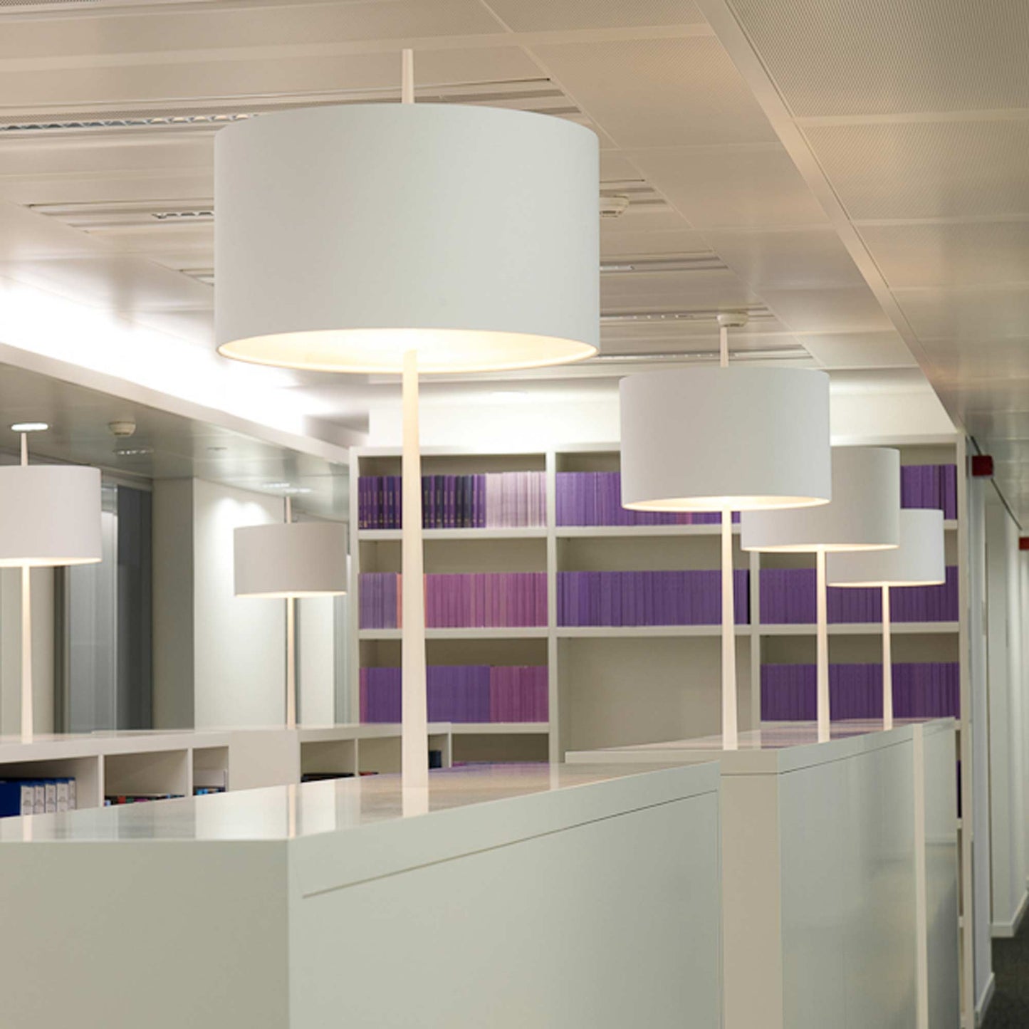 Lola T Table Lamp in library.