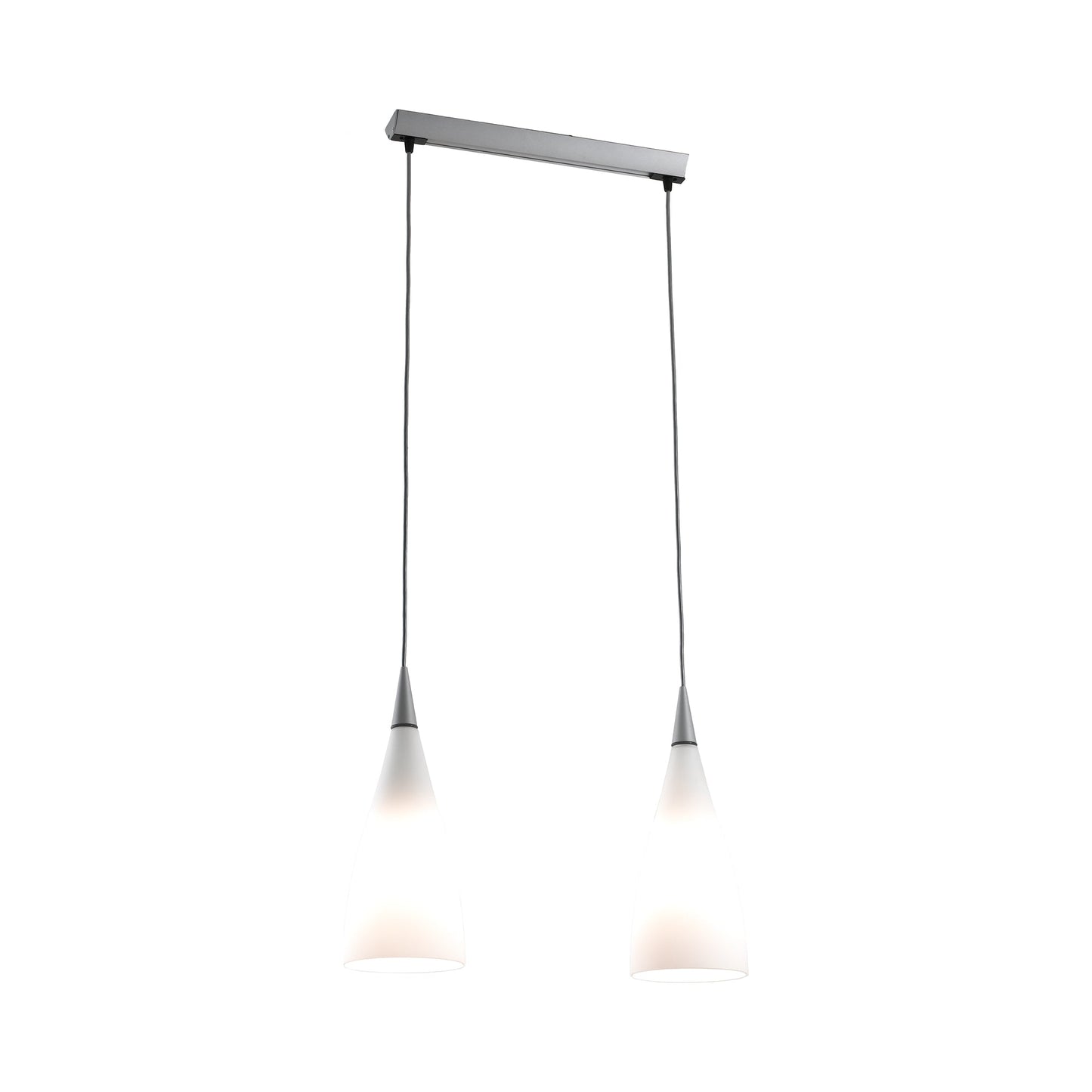 Nite S Track Pendant Light (2-Light).