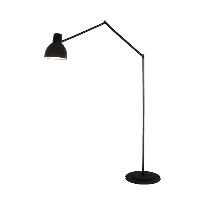 Blux System F Floor Lamp in Black (84-Inch).