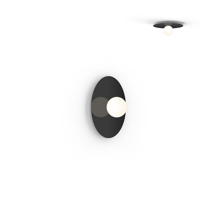 Bola LED Ceiling / Wall Light in Black (Small).