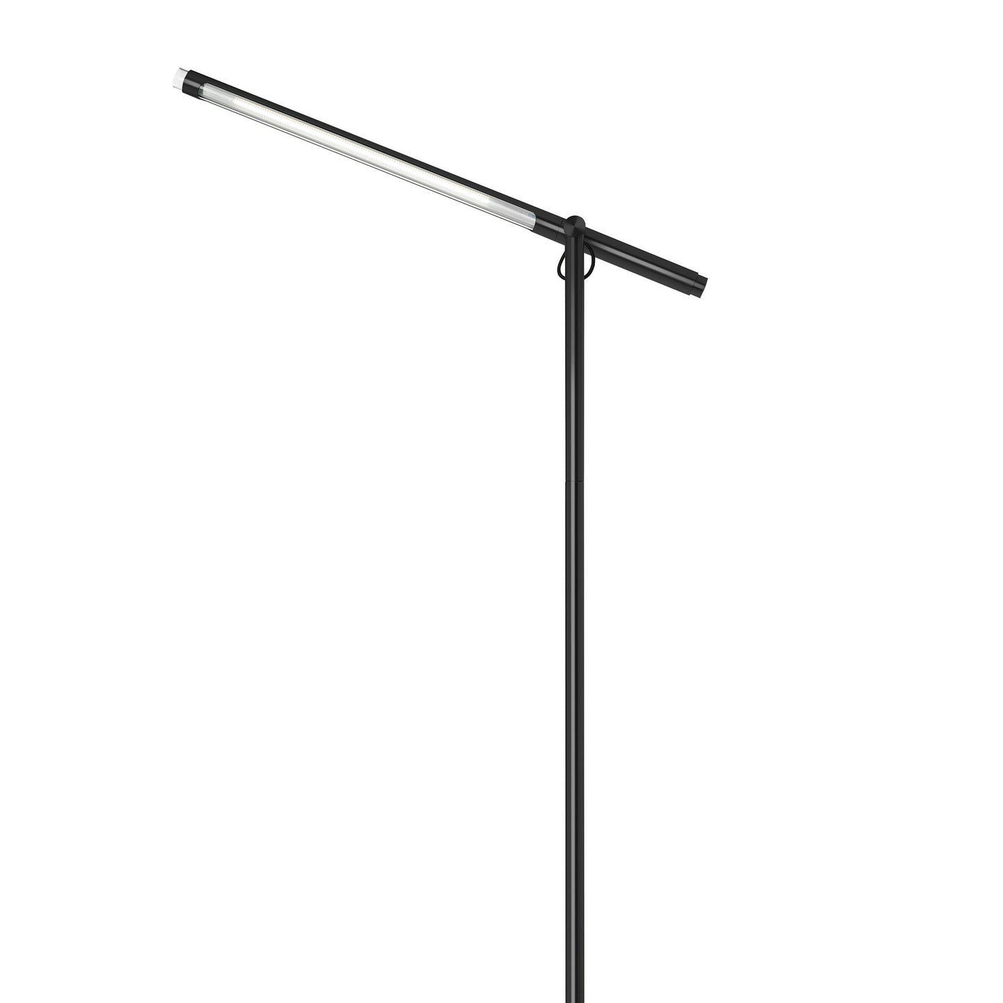 Brazo LED Floor Lamp in Detail.