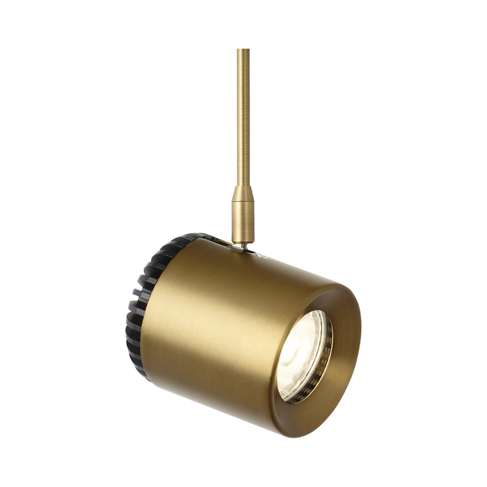 Burk Low Voltage FreeJack LED Head in Aged Brass.